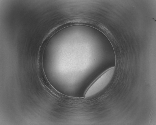 X0000073430484200607281009