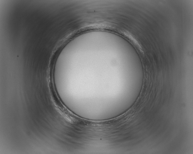 X0000073430486200607281009