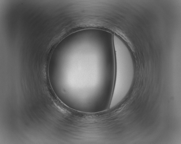 X0000073430489200607281009