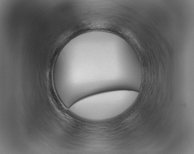 X0000073430491200607281009