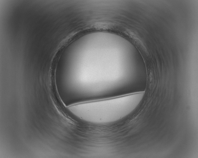 X0000073430492200607281009