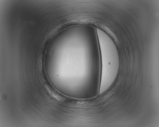 X0000073430493200607281009