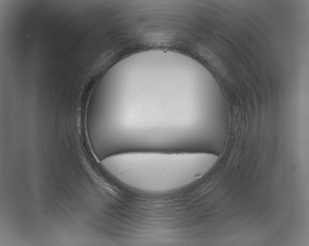 X0000073430494200607281009