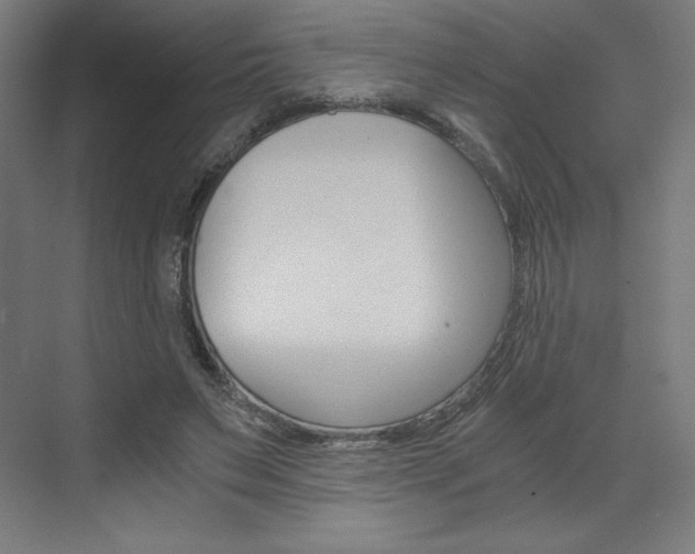 X0000073430495200607281009