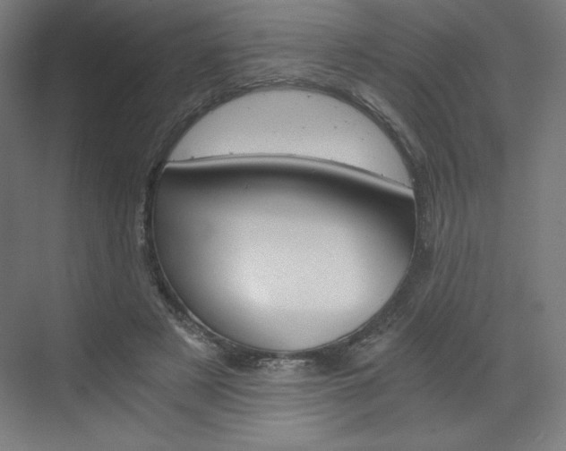 X0000073430497200607281009