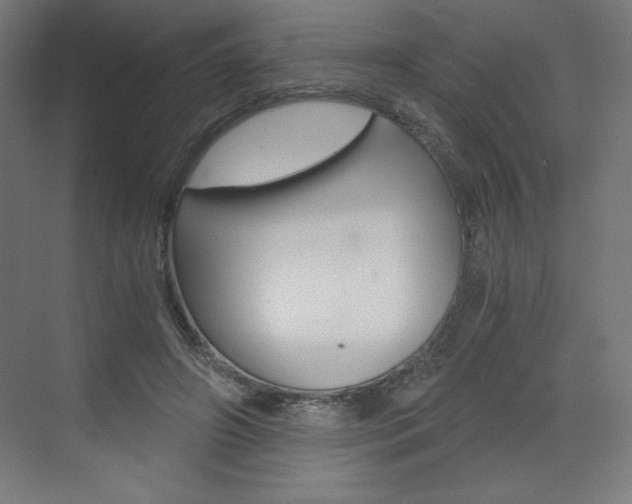 X0000073430498200607281009