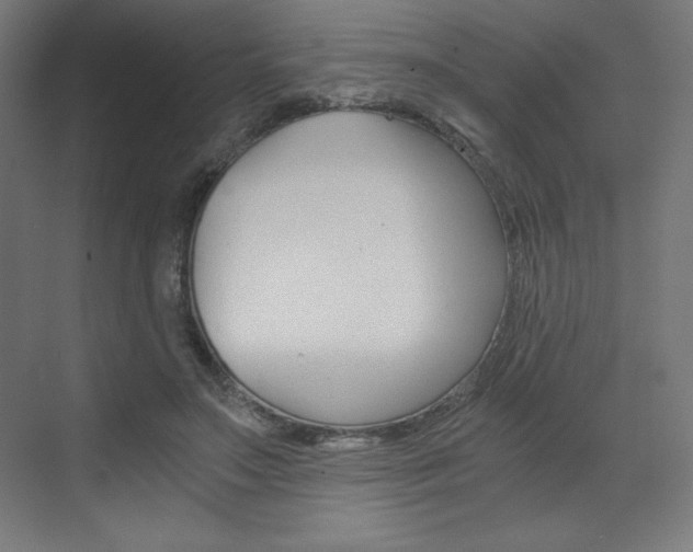 X0000073430499200607281009