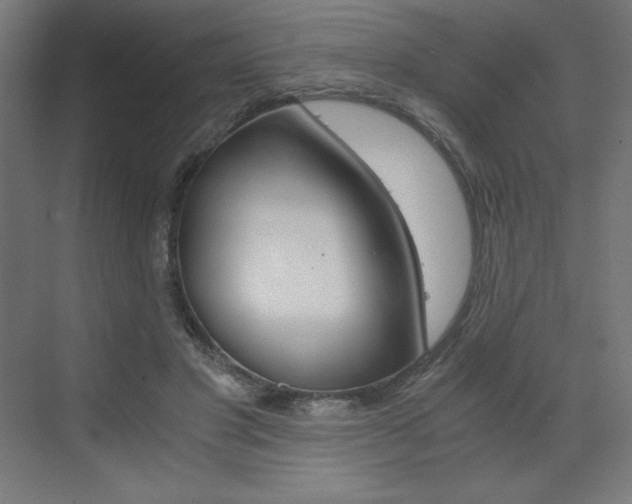 X0000073430501200607281009