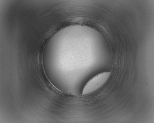 X0000073430504200607281009