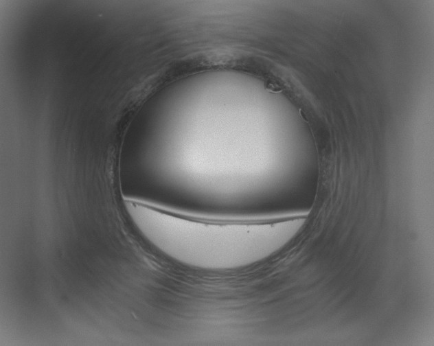 X0000073430505200607281009