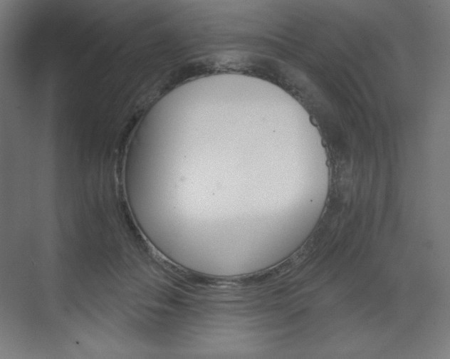 X0000073430506200607281009