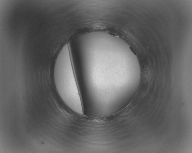 X0000073430512200607281009