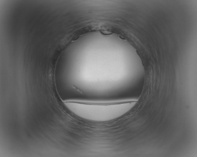 X0000073430513200607281009