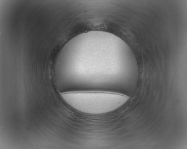 X0000073430515200607281008