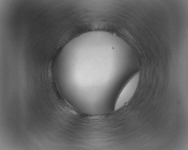X0000073430516200607281008