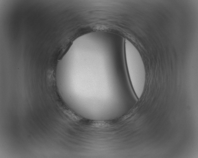 X0000073430521200607281008