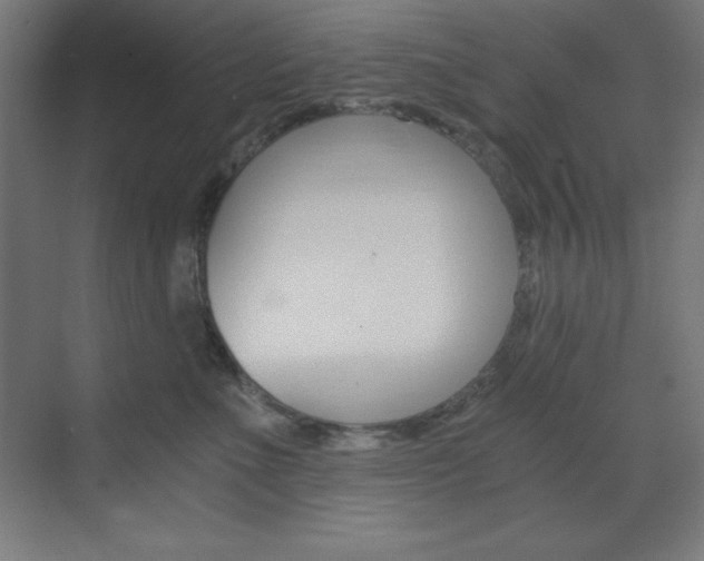 X0000073430523200607281008