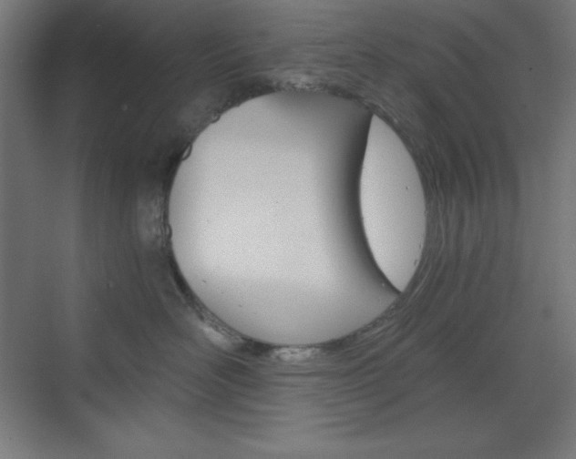 X0000073430526200607281008