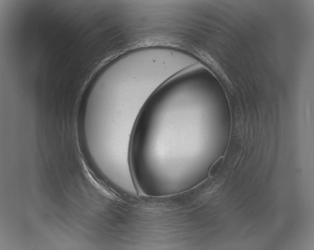 X0000073430530200607281007