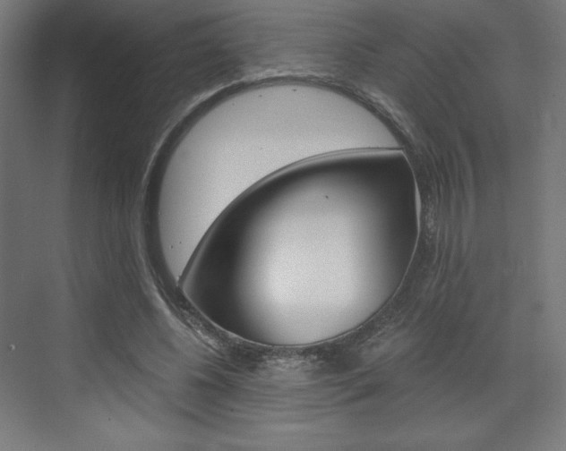X0000073430540200607281008