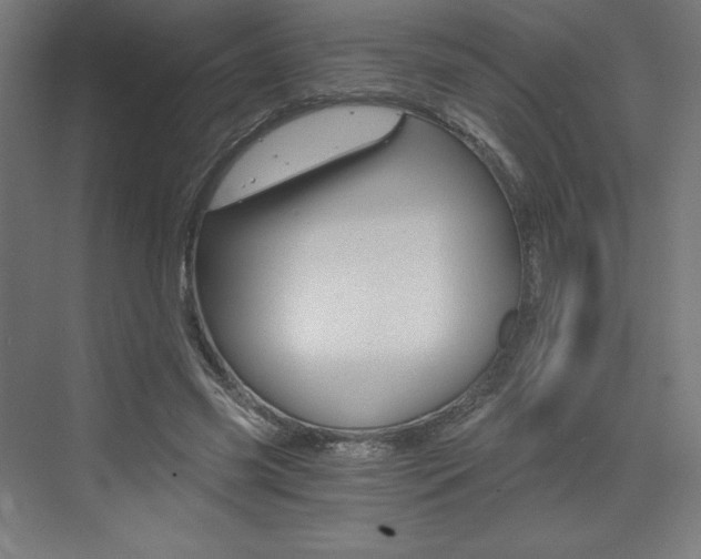 X0000073430541200607281008
