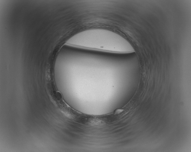 X0000073430547200607281008