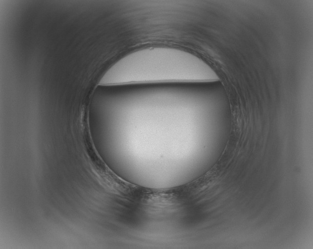 X0000073430550200607281008