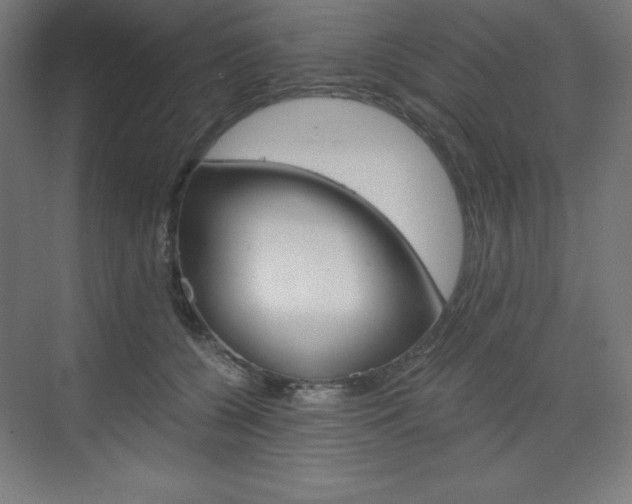 X0000073430560200607281008