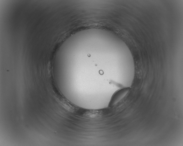 X0000073430563200607281008