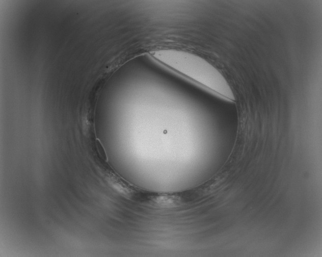 X0000073430566200607281008