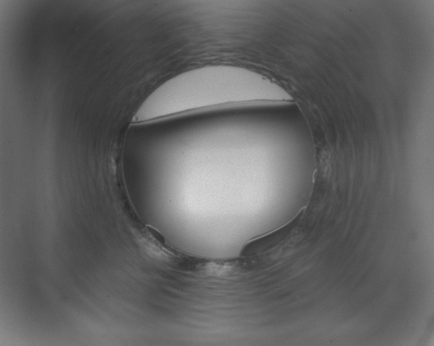 X0000073430570200607281008