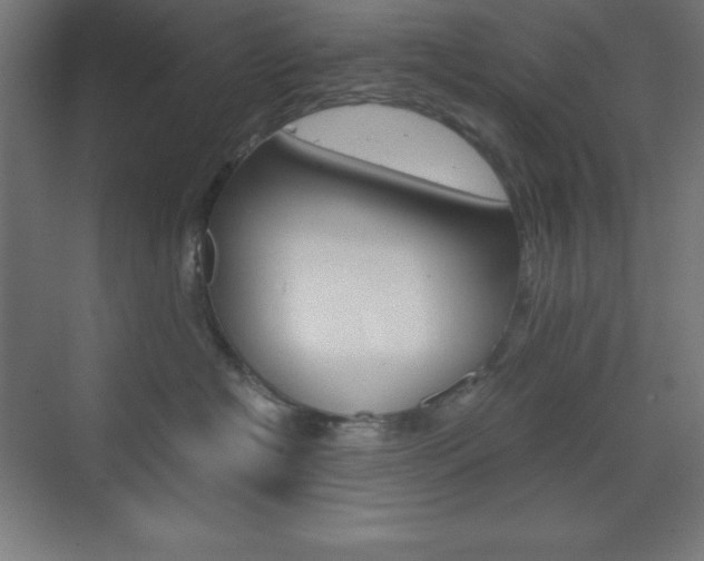 X0000073430574200607281008
