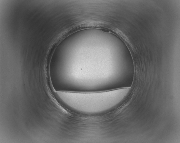 X0000073430581200607281007