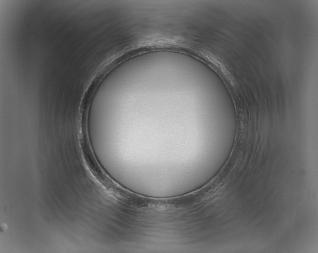 X0000073430582200607281007