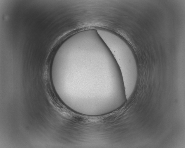 X0000073430583200607281007