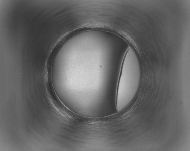 X0000073430584200607281007