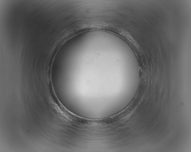 X0000073430585200607281007