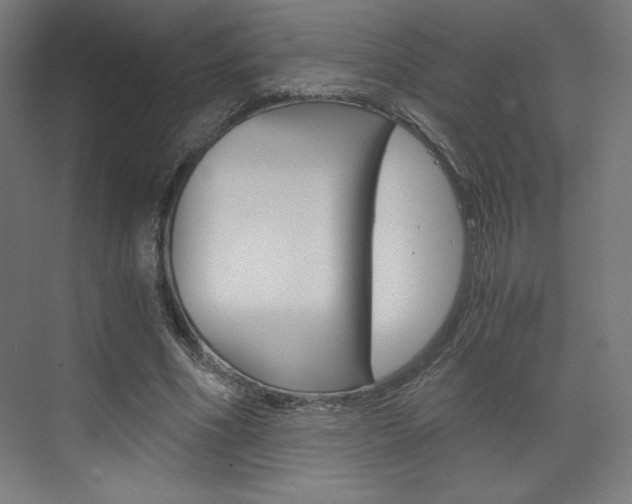 X0000073430586200607281007