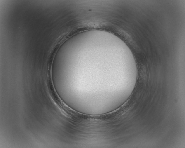 X0000073430590200607281007