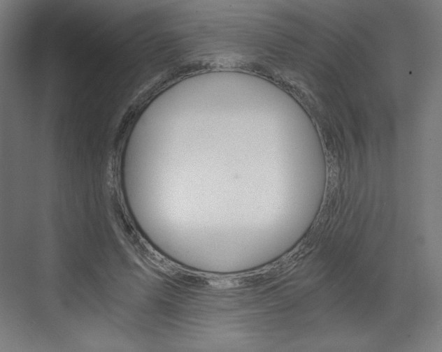 X0000073430591200607281007
