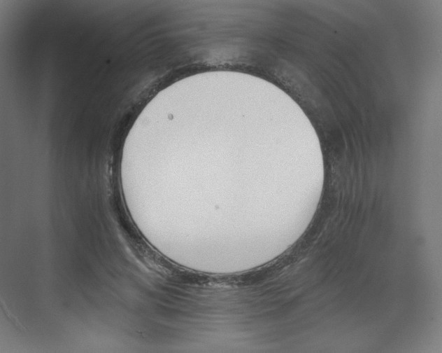X0000073430592200607281007