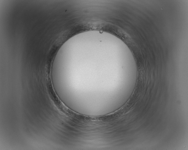 X0000073430594200607281007