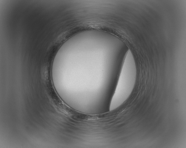 X0000073430595200607281007