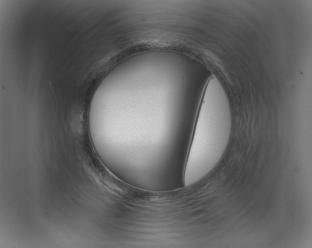 X0000073430596200607281007
