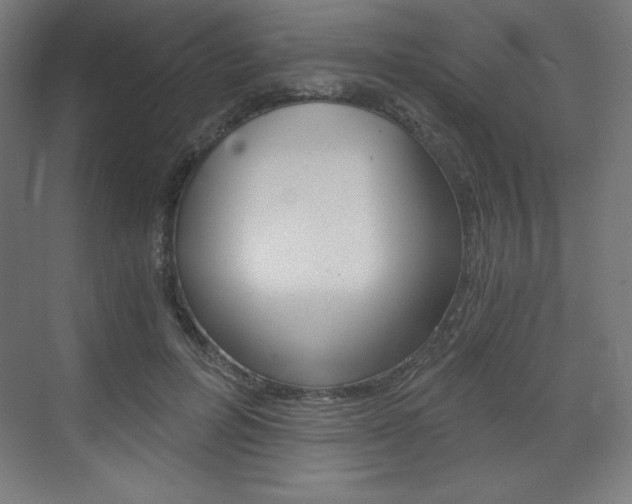 X0000073430600200607281007