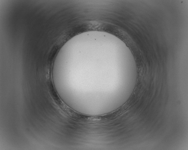 X0000073430602200607281007