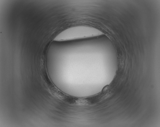 X0000073430603200607281007