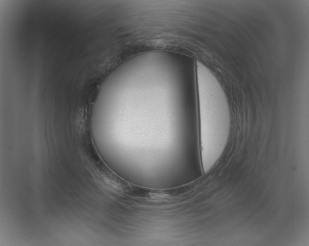 X0000073430605200607281007