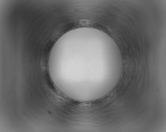 X0000073430606200607281007