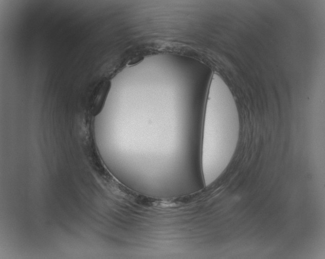 X0000073430607200607281007